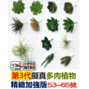 WINE台灣惟恩 第3代 仿真植物 53~65號 多肉 觀音蓮 荷花 蓮花掌 蘆薈 空氣草 仿真多肉 擬真多肉植物