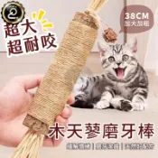 貓咪磨牙棒 貓自嗨玩具 貓薄荷 磨牙玩具 磨牙棒 啃咬棒 木天蓼 天然草本 蟲癭果 貓咪牙棒 QJ2481