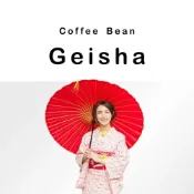 (店+)【Wingman】藝伎咖啡豆 巴拿馬 花蝴蝶 波奎特 厭氧日曬｜Wingman Taipei Geisha