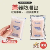 買5送3 樂器防潮包 乾燥劑 除濕劑 除濕包 乾燥包 防潮包 吉他防潮包 樂器乾燥劑 吉他乾燥包 吉他乾燥劑 樂器乾燥包