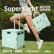 買菜車小拉車便攜摺疊擺攤露營漫展小推車購物車拉桿車戶外收納箱