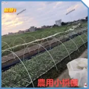 20根拱棚大小支架 玻璃纖維 拱棚支架 菜棚保溫棚花棚玻纖桿 農用拱竿骨架 玻璃鋼實心彈力棒 育苗棚防曬網支架