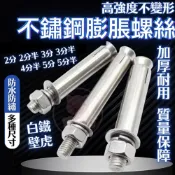 (店+)304 不銹鋼膨脹螺絲 304螺絲 白鐵膨脹螺絲 不鏽鋼膨脹螺絲 膨脹螺絲 白鐵壁虎 白鐵螺絲 內迫壁虎 白鐵套管壁虎