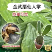 PJ小舖 無毒有機金武扇仙人掌 陸龜聖品 補品 多肉植物團善有機飼料爬蟲草食物材蘇卡達亞達柏拉赫曼豹龜櫻桃紅腿