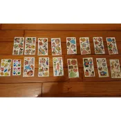 迪士尼. 阿拉丁  金絲雀 兔寶寶 史努比 一休和尚 芭比娃娃  限定亮面貼紙
