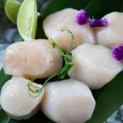 【有魚生鮮】日本巨無霸生食級生干貝2L / 1000g
