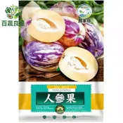 原裝人參果種子 香瓜茄 奇異果茄 金參果 仙桃 健康水果 陽台盆栽 家庭菜園 多年生 自種水果 稀有種子 高營養 低糖
