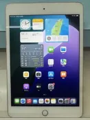 【艾爾巴二手】 iPad mini5 256G 粉 WIFI版 (A2133) 7.9吋 粉#二手平板#大里店3LM9D