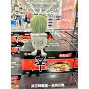 免運 ｜仙人掌哥 農心 辛拉麵 黑 130公克 X 8包 拆售 單包 整箱販售 微辣牛骨湯頭