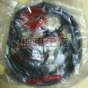 機車工廠 舊悍將 悍將 4V 配線 全車配線 SANYANG 正廠零件