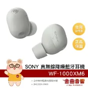 SONY 索尼 WF-1000XM6 銀色 旗艦 降噪升級 舒適貼合耳型 真無線 藍牙耳機 | 金曲音響