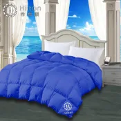 【Hilton希爾頓】埃及豔后精華液大豆纖維美容被-寶藍