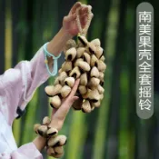 【手搖鈴】果殼風鈴 果殼搖鈴 風鈴吊飾 冥想 瑜伽 打坐 德瑞果殼搖鈴非洲植物果實手鈴風鈴專業民族小衆白噪音樂器
