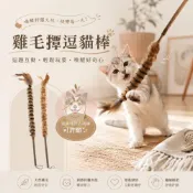 (店+)雞毛撢逗貓棒 逗貓棒 貓玩具 貓咪玩具 寵物玩具 逗貓玩具 幼貓 玩具 豆貓棒