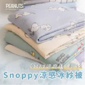 👉史努比涼感冰峰涼被👈瑪奇朵冰紗被 大人 小孩 涼感被 史奴比 snoopy 國小 小朋友 涼被 沙發被 冰淇淋被