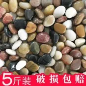 【熱賣】魚缸石頭天然鵝卵石小石頭石子雨花石原石庭院造景五彩石大鵝軟石  露天市集