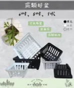 【全館490超取免運】多用途附生淺網盆 蕨類好盆 鹿角蕨 蕨類 萬代蘭 蘭花 空氣鳳梨 根部生長 提高透氣【城市花園】