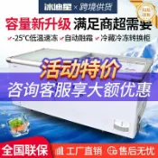 和風選集 【商用冷凍】冰櫃 展示櫃 臥式冷凍櫃 雪糕櫃 玻璃門保鮮櫃 速凍櫃 冷藏櫃 冷凍冰櫃 島櫃 節能省電 大容量 透明玻璃門 食品展示 便利商店適用