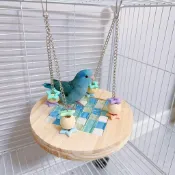 【KeKe】鸚鵡專用鞦韆鳥用冰墊吊床虎皮玄鳳空中站臺散熱冰感涼休息吊窩 冰涼散熱吊床鞦韆 消暑降溫 鸚鵡空中休憩玩耍用品