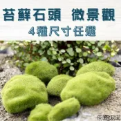 (店+)沐晨植物園｜仿真青苔石 仿真苔蘚石頭 仿真石 多肉裝飾 生態瓶配件 盆栽裝飾 微景觀配件 公仔 迷你園藝 微景觀擺件
