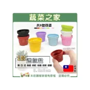 (店+)【蔬菜之家】1吋迷你盆 2吋.3吋彩盆 8色可選荷蘭盆 花盆 多肉盆 透氣盆 馬卡龍色 塑膠花盆 觀葉盆 栽培