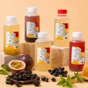 【伯公仔養身飲品】健康纖活系列 任選450mlx12瓶(桑葚汁/蘋果蘆薈/百香果蘆薈/黑醋栗蘆薈/桃香蘆薈)