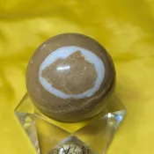 【運好氣】神之視界 覺醒 龍宮舍利球 洞察天機 (50mm/附底座)