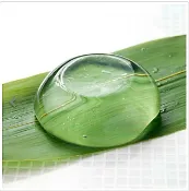 【阿肥的店】日本 富澤商店 cuoca 水信玄餅 果凍粉 水信玄餅粉 日本白涼粉 寒天粉 tomiz