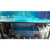阿帥金魚 K1增氧神器 幫助魚大得更快 100g20元  全館滿400元免運費 高溶氧 幫助硝化菌建立