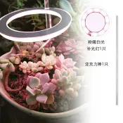 成名在望 USB植物燈 LED植物燈 補光燈 植物生長燈光譜全led燈仿太陽燈上色室內家用燈管usb多肉補光燈『ZW7116』
