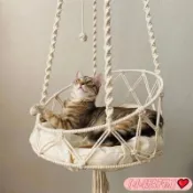 ❤熱銷好物❤ 手工編織小貓吊床懸掛貓床波西米亞帶懸掛套件室內裝飾貓窩吸盤貓吊床 折疊貓吊床 貓吊床掛式 貓跳臺 0924