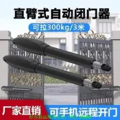 庭院大門電動開門機 直臂電機遙控自動開關門器 別墅大門馬達 單門雙門適用 手機遠端控制 台灣現貨