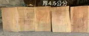 台灣櫸【紅雞油】原木木板/砧板/隔熱墊/湯鍋墊/藝品盆景奇石陶藝擺設底座/置物架/木質墊片//雕刻裝飾用材