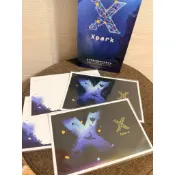 Xpark明信片 一組四張 只有一組❗️❗️🈵100元出貨