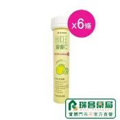 台灣武田 HICEE 愛喜 維生素C+鈣 檸檬 口嚼錠 20錠x6入【瑞昌藥局】908833