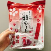 【鴨子日本倉庫】現貨！新包裝 日本零食 梅片140g  獨立包裝 梅子片 梅片 超大包