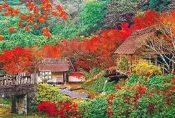 拼圖專賣店 日本進口拼圖 51-265(1000片拼圖 風景 佐賀伊万里的秋天楓紅)