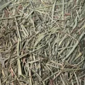 爬蟲用牧草墊料 陸龜 守宮 爬蟲墊料 蜥蜴 牧草墊料 乾草墊料 牧草木屑 混合草墊 混合牧草堆 牧草墊料 爬蟲墊材