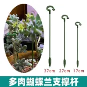 植物支架 金錢樹植物花支架 支撐杆 花架 園藝支撐架花支架花卉扶正天堂鳥盆栽綠植物龜背竹吊蘭固定防倒伏s_jbs