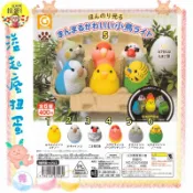 ♧溢起瘋扭蛋♧ Shine-G 扭蛋 轉蛋 LED 圓滾滾小鳥 夜燈 P5 鸚鵡 小鳥 小夜燈 寵物 發光 高雄 鹽埕
