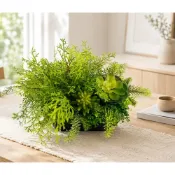 (店+)【HUGO DECO 榆果傢飾】高擬真蕨草多肉植物盆栽(擬真植物/禮物/綠化/永不凋零/佈置/蕨類)