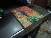 【知4A8B】道聲出版社  長青樹  徐薏藍