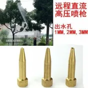 【高壓果樹直射噴頭】遠程直流噴槍 噴霧器 打藥機 直通 洗車 霧化 全銅噴頭 洗車機 高壓機 高壓洗車機 噴霧機 園藝噴