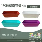 (店+)1尺 長壁掛花槽長盆(附水盤)可壁掛 可平放 貓草 貓薄荷 小麥草 花卉 蔬菜 種植 園藝 花盆 種花盆 塑膠盆