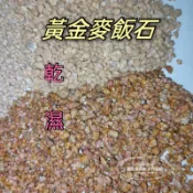 現貨 黃金麥飯石 500g/1公斤[ Love ling 真心愛多肉 ] 多肉介質 鋪面 鋪底 含微量元素 土壤改善