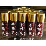(長鴻生技)一瓶500.多件優惠.高濃縮台灣野生牛樟椴木養殖牛樟芝(菇)子實體滴丸顆粒.國寶森林紅寶石.禮盒組加購
