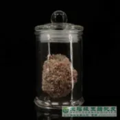 協貿國際日用品生活3館 古玩古董收藏佛教至寶無上再生夜光舍利子結緣舍利子堅固子供奉