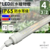 LED 防水款植物生長燈 全光譜 紅多 藍多 多肉植物 仿太陽光 增豔 實驗室實測有效光譜 魚菜共生 2呎 3呎 4呎