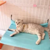 🌸桃裏🌸貓籠子平臺隔板貓吊床懸掛式貓窩休息貓咪攀爬樓梯貓籠子隔層配件