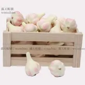(MOLD-A_082)仿真蔬菜水果假水果蔬菜模型飯店裝飾品拍攝道具輕型仿真大蒜頭